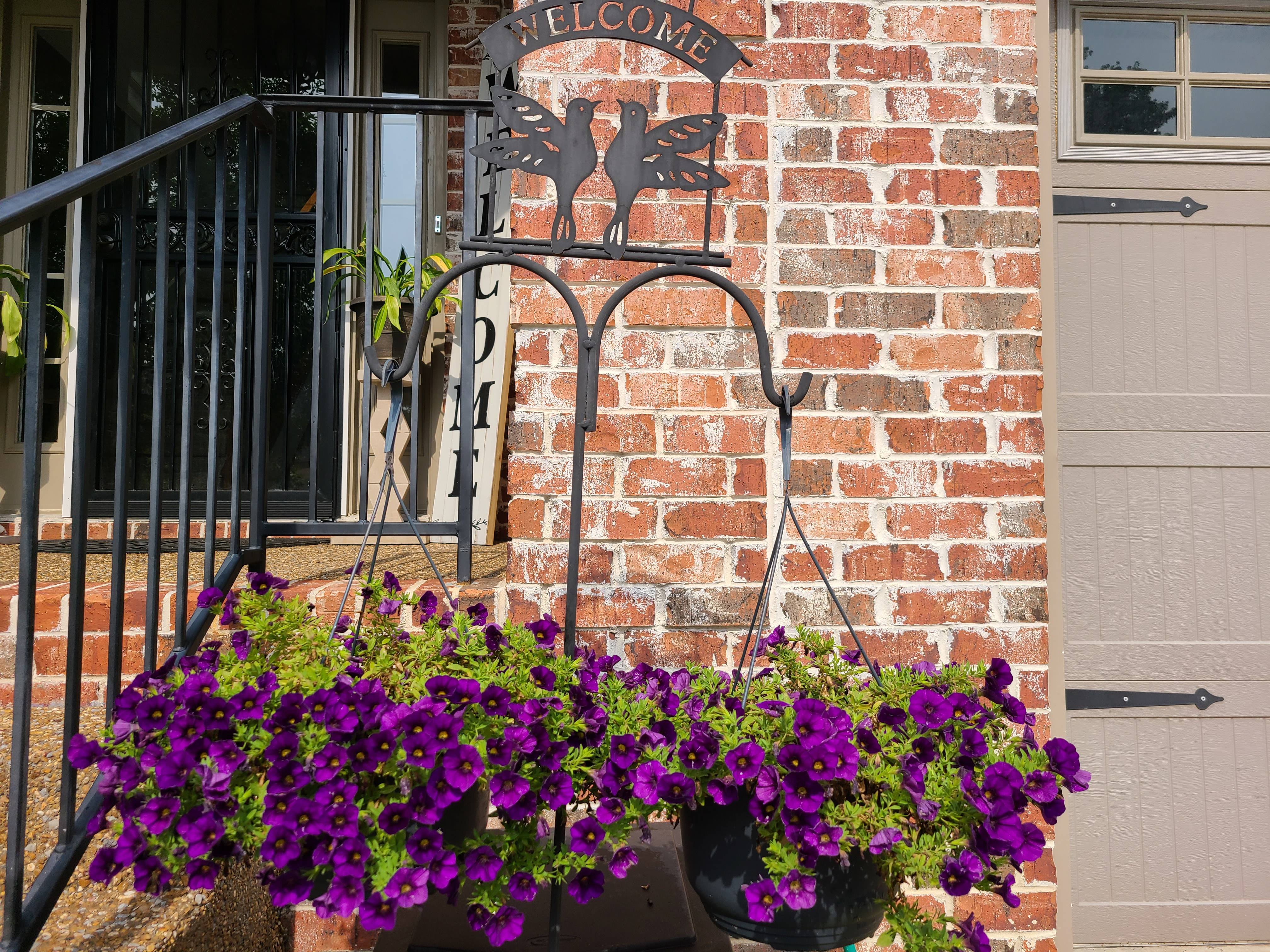 Purple Flowers